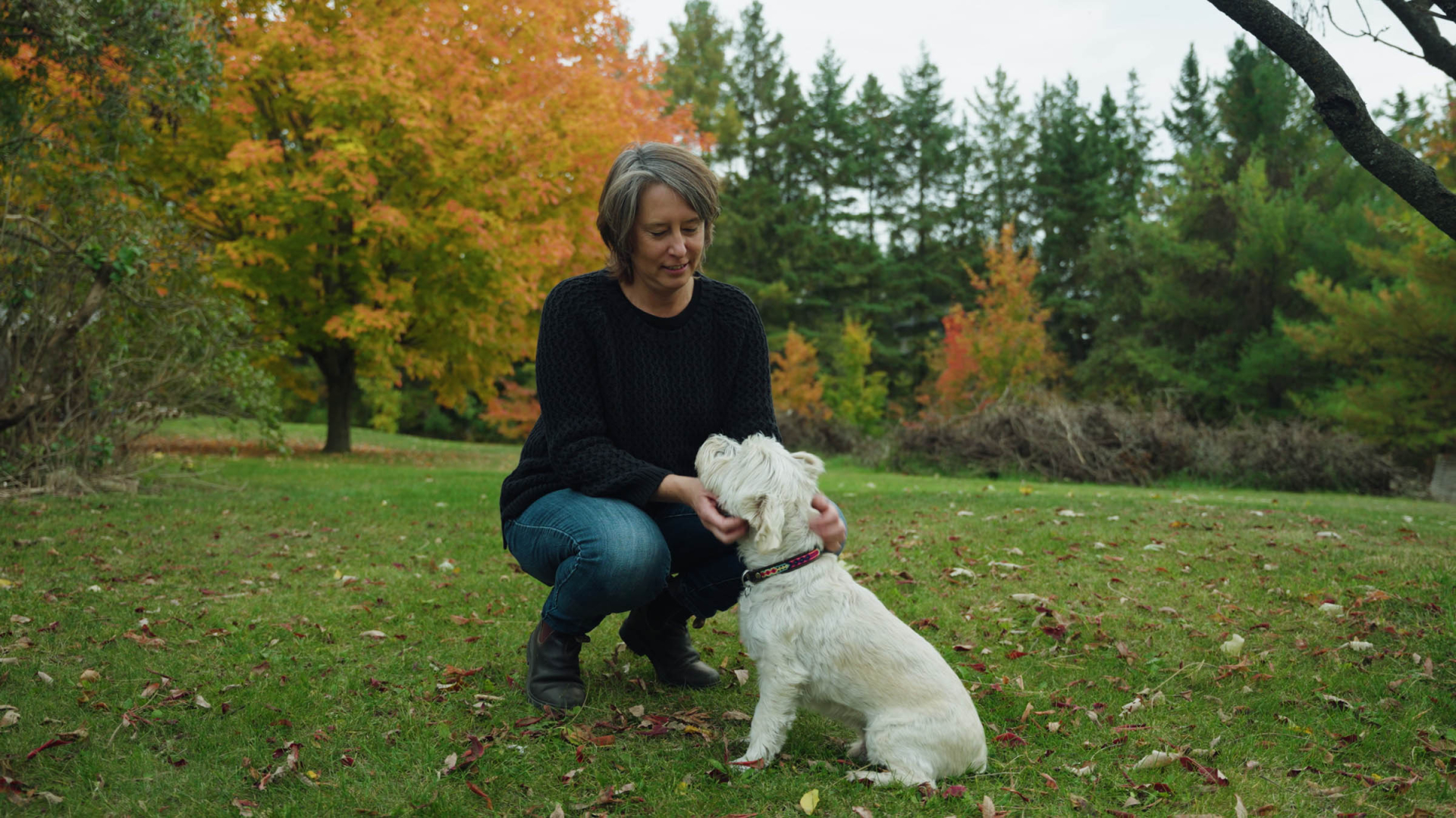 vlcsnap 2023 02 03 16h57m35s