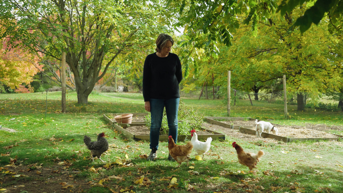 vlcsnap 2023 06 16 12h03m15s