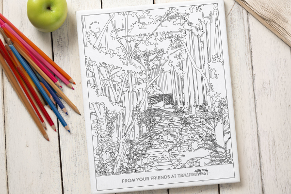 Colouring page of Preservation Park neighbourhood in Guelph, Ontario with pencil crayons and an apple around it. From TrilliumWest Real Estate Brokerage.