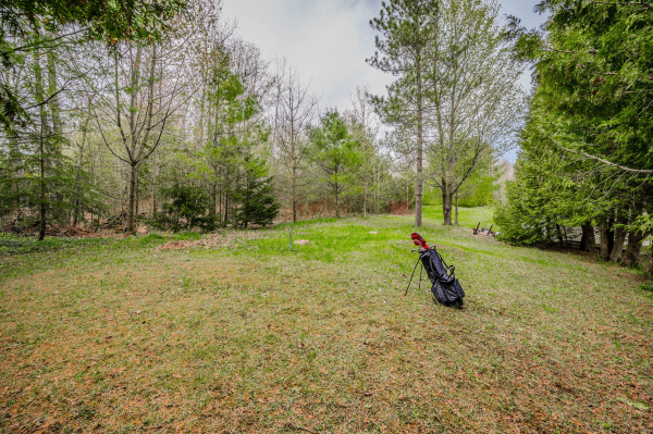 041 133596 Wilcox Lake Rd Flesherton 