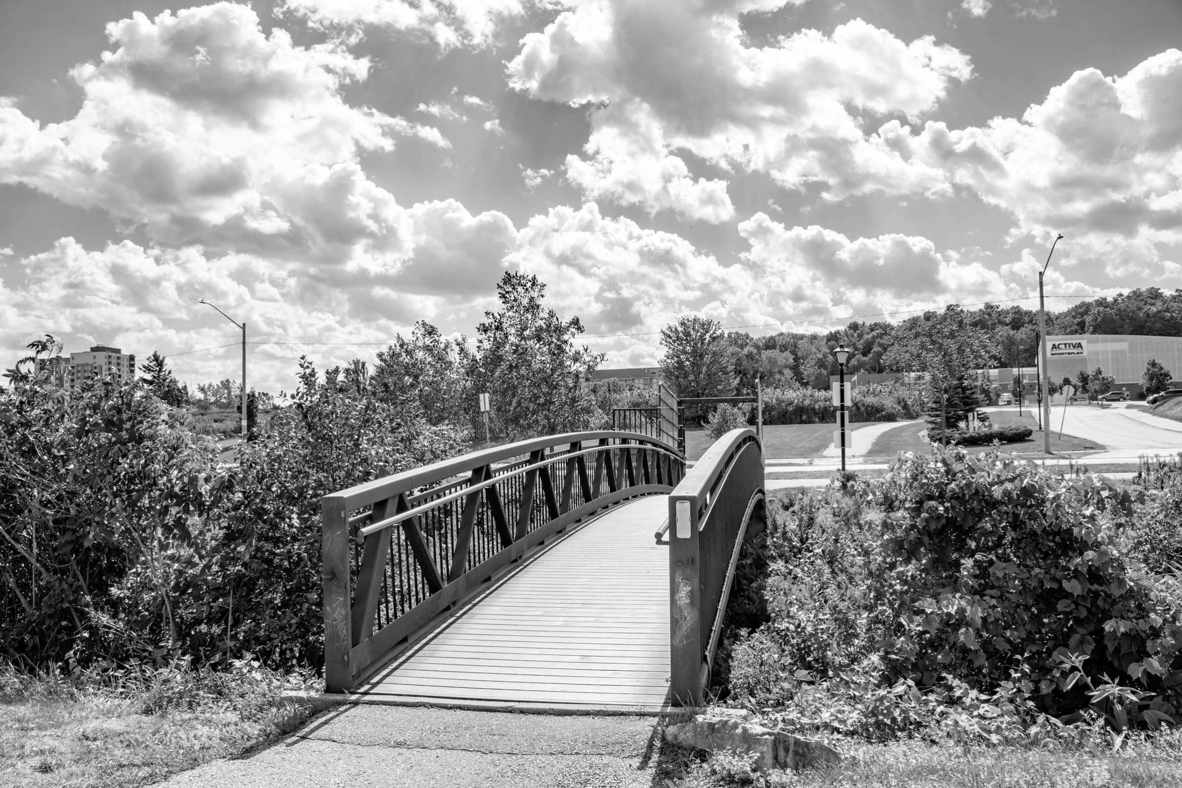 A bridge going over a bush area leading towards Activa Sportsplex in Alpine, Kitchener West, Ontario