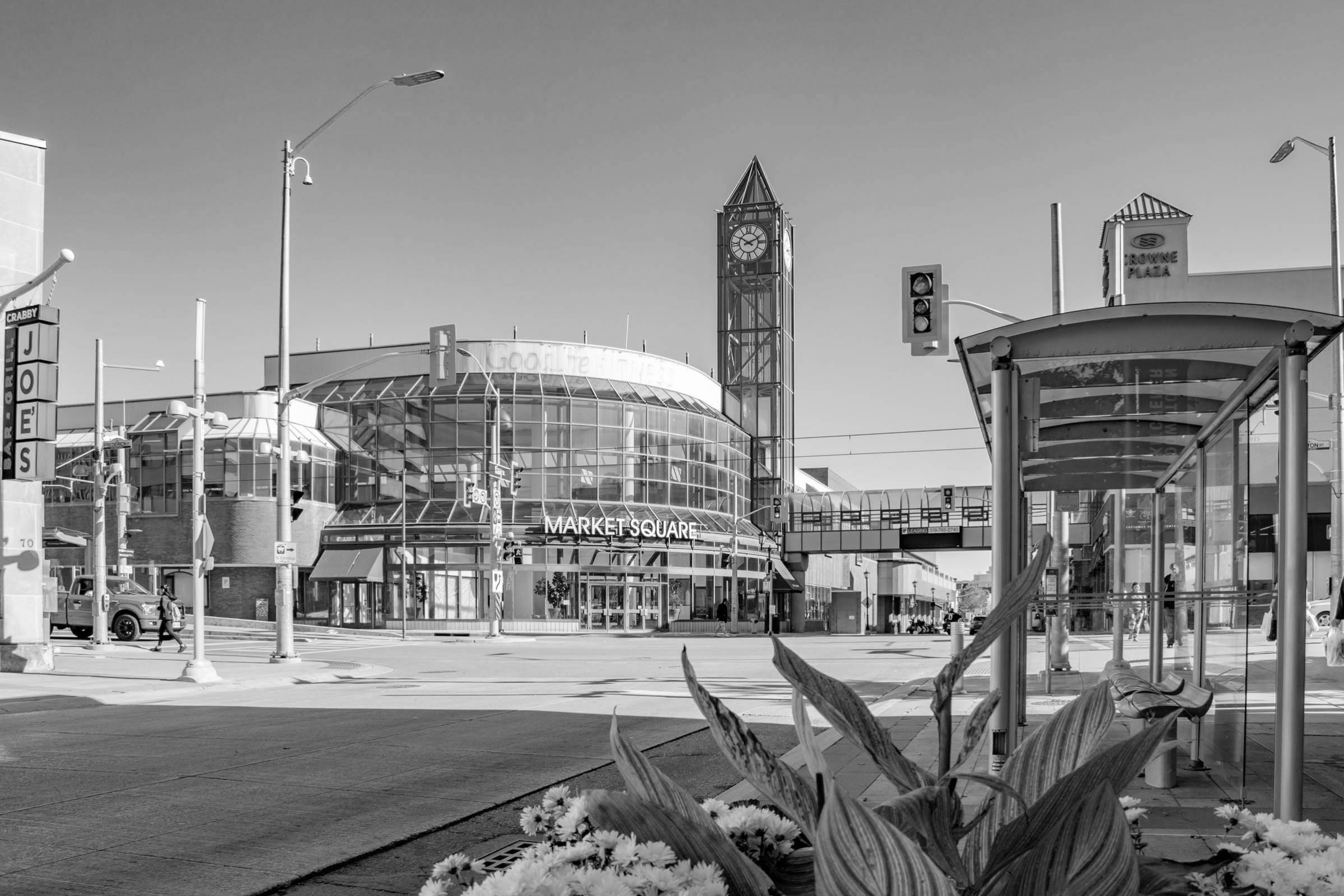 the market square building with clocktower at the intersection of king st and frederick st located in Downtown Kitchener, Ontario