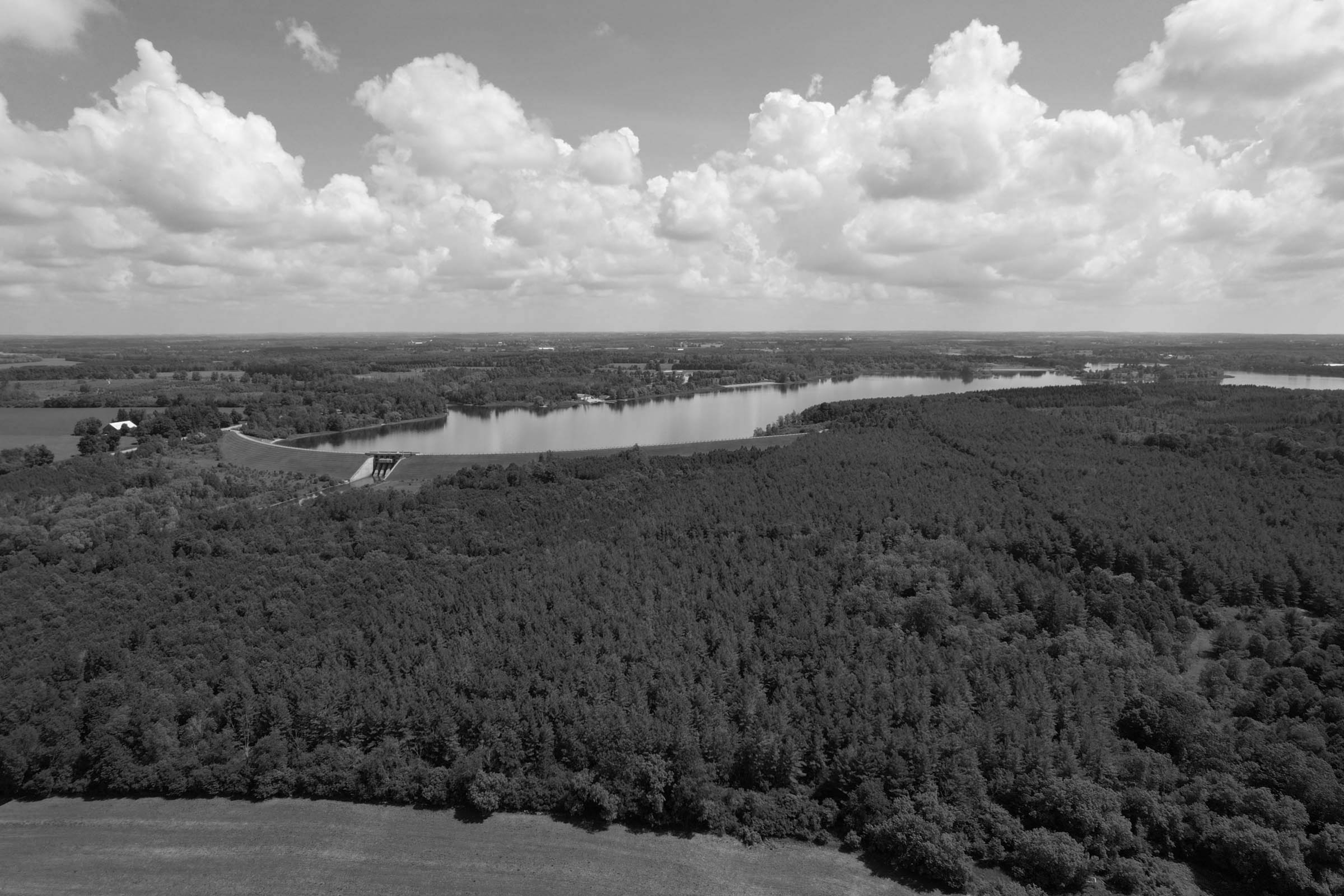 A drone photo of guelph lake with forest surrounding it