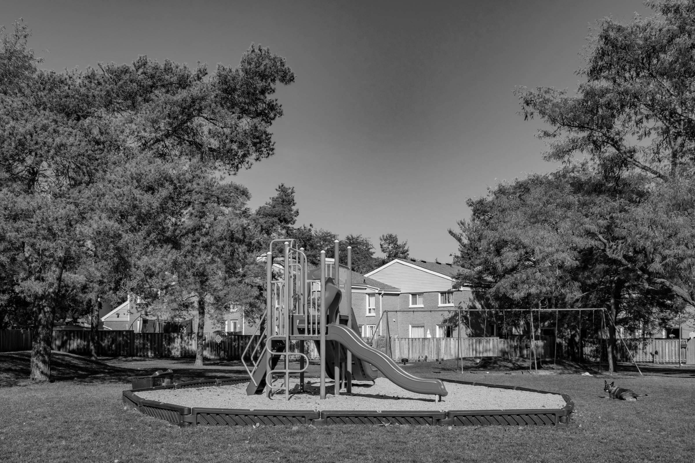 a photo of a playground with a slide and swings, lots of trees around it and you can see some houses in the background. There is also a german sheppard looking dog on the right side of the playground