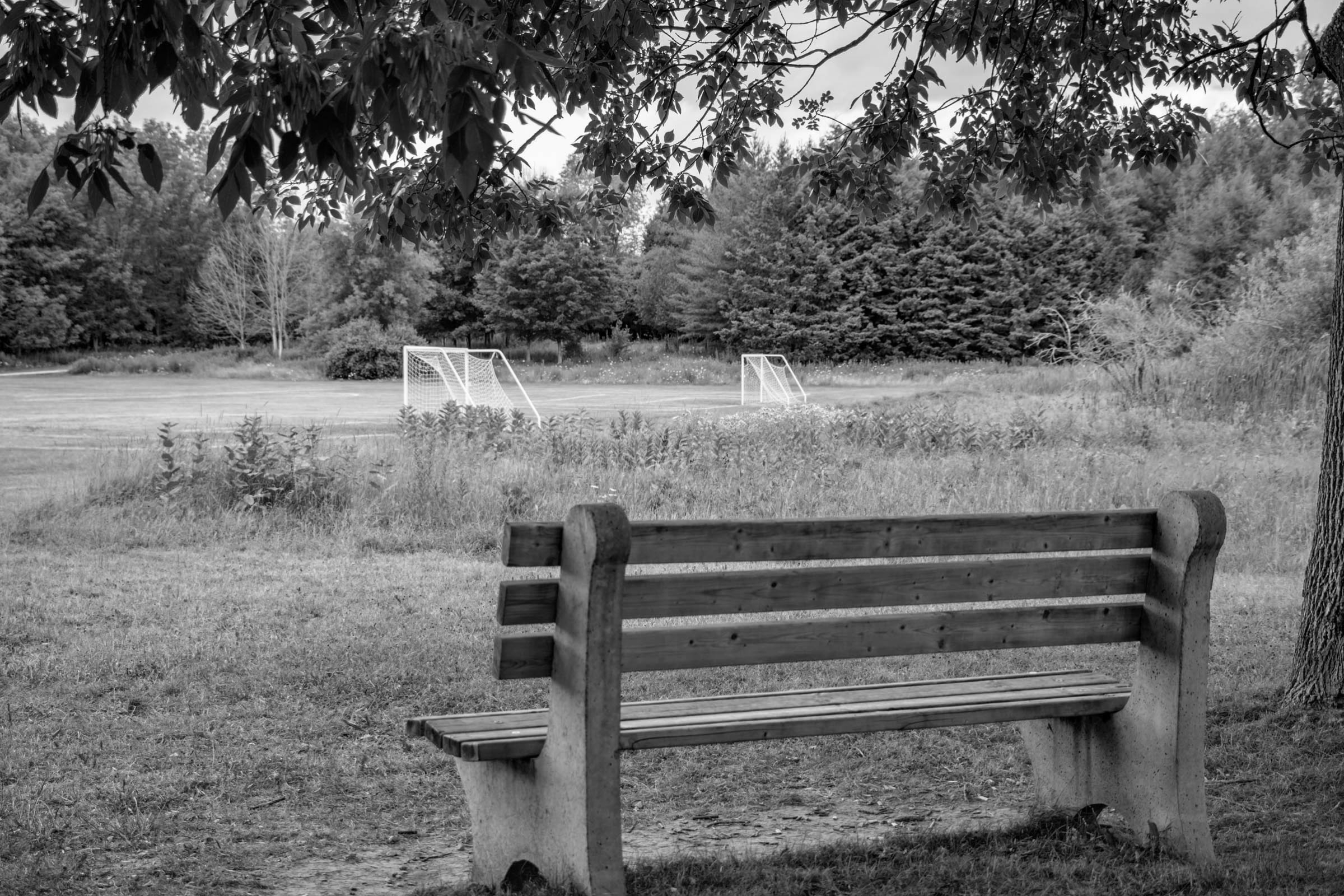 a photo of a park bench looking at soccer fields with a forest in the background in the Preservation Park area of Guelph