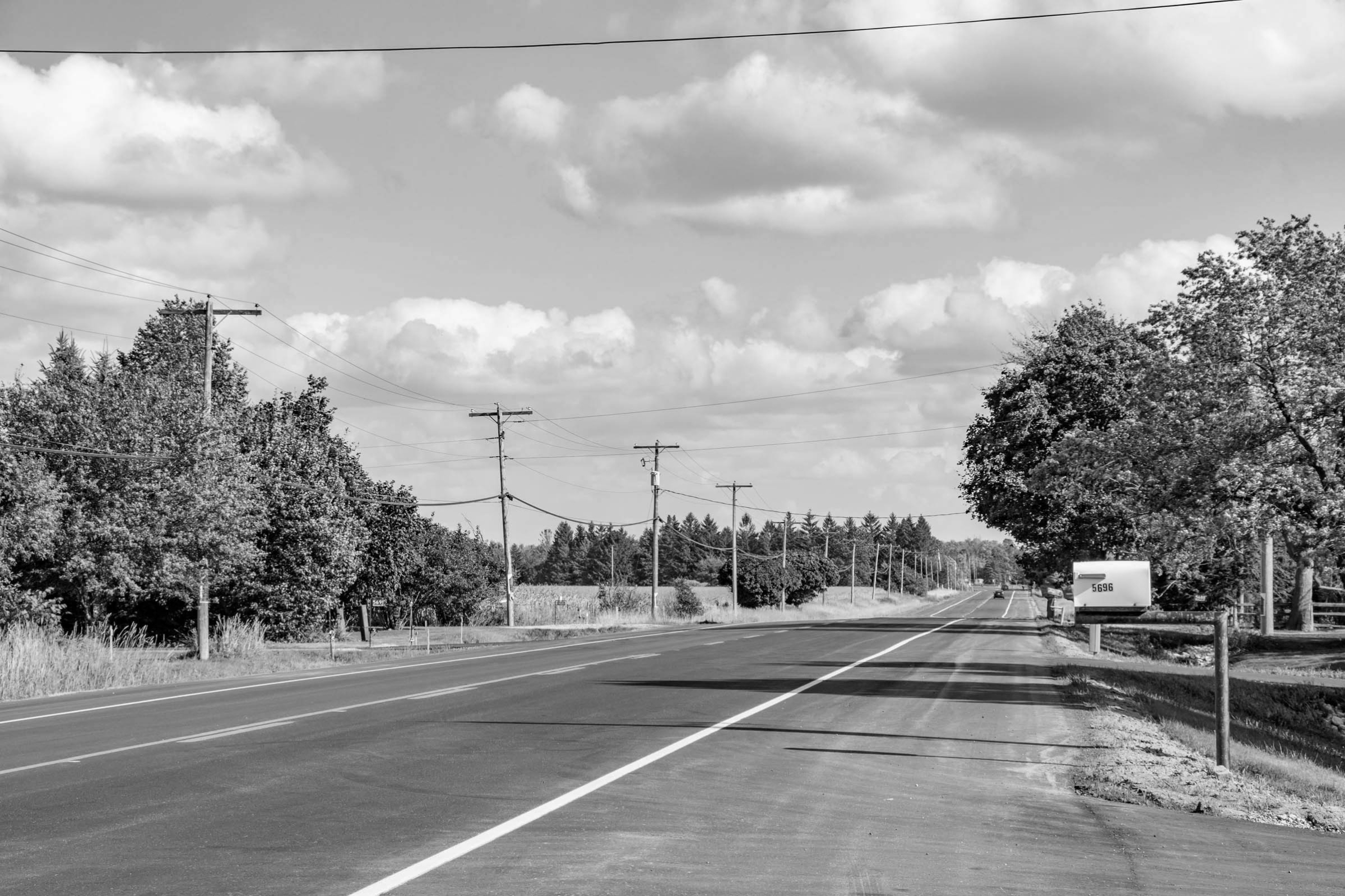 a country road with trees and hydro lines in the background in guelph eramosa, wellington county