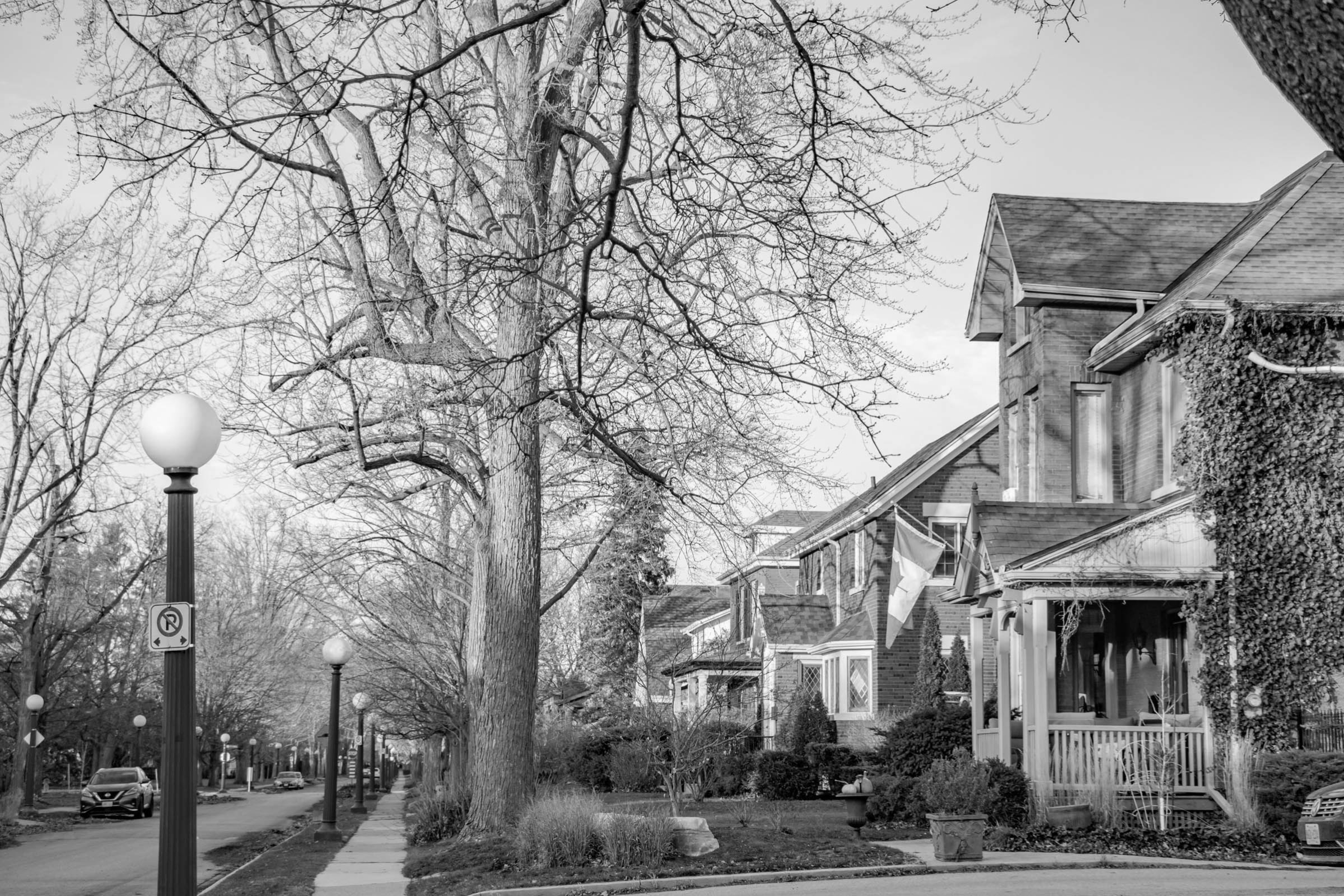 a photo looking down the street where you can see several century homes, trees and old fashioned street lights
