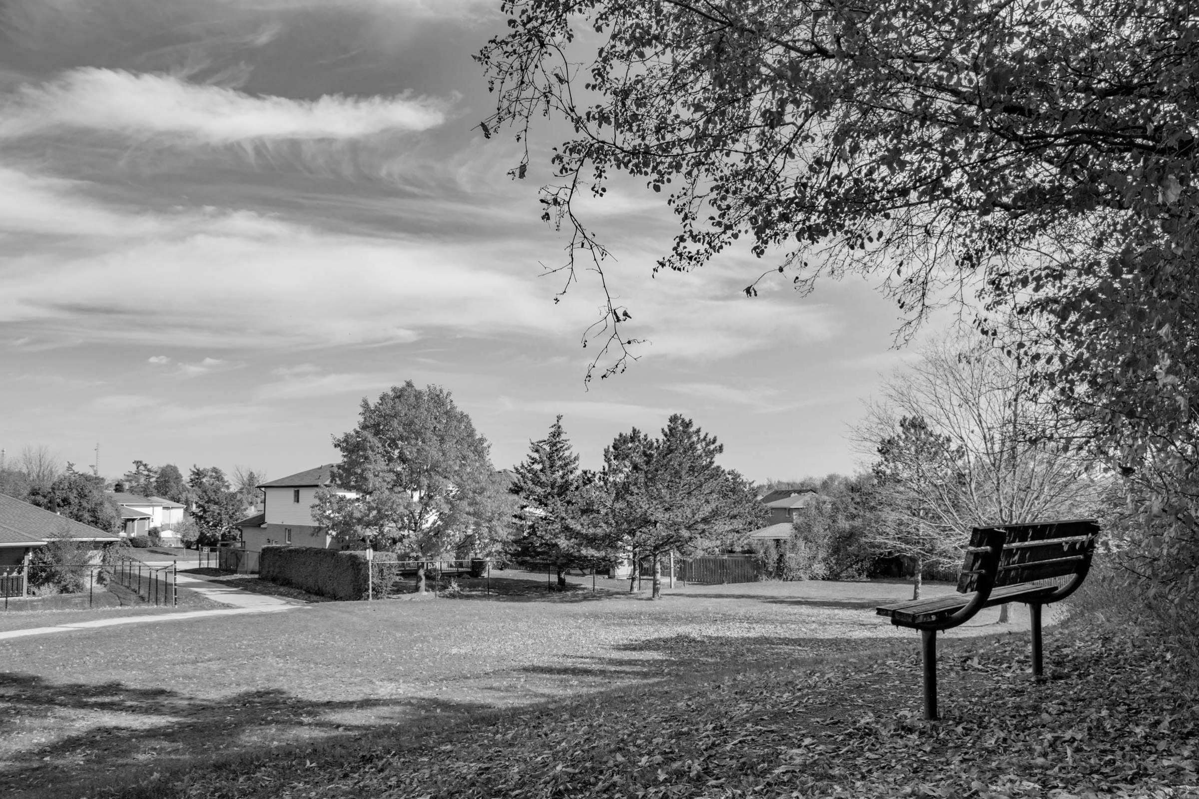 a photo of a bench overlooking a small neighbourhood park with homes in the background in Moffat Creek, East Galt, Cambridge, Ontario