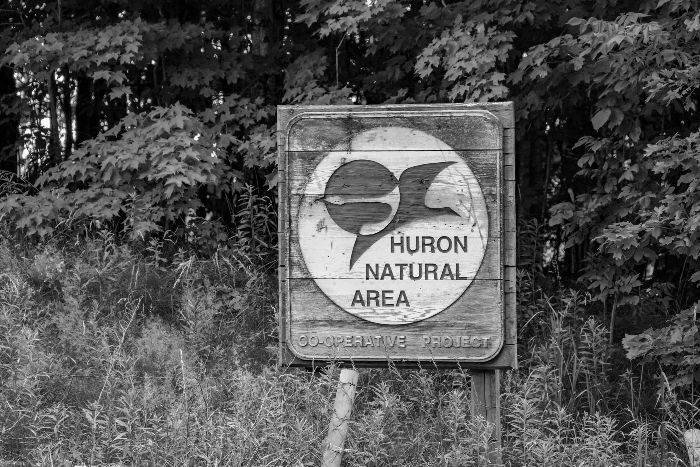 a photo of a wooden sign at Huron Natural Area, in the Huron Park area of Kitchener, Ontario