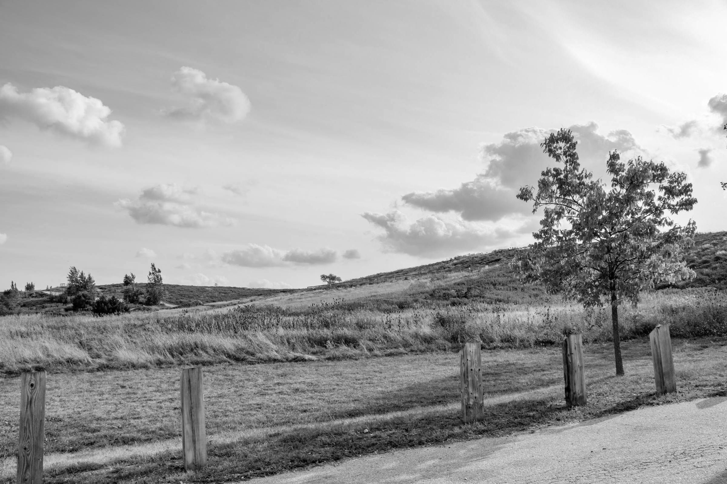 a photo of rolling hills at McLennan Park in Laurentian Hills