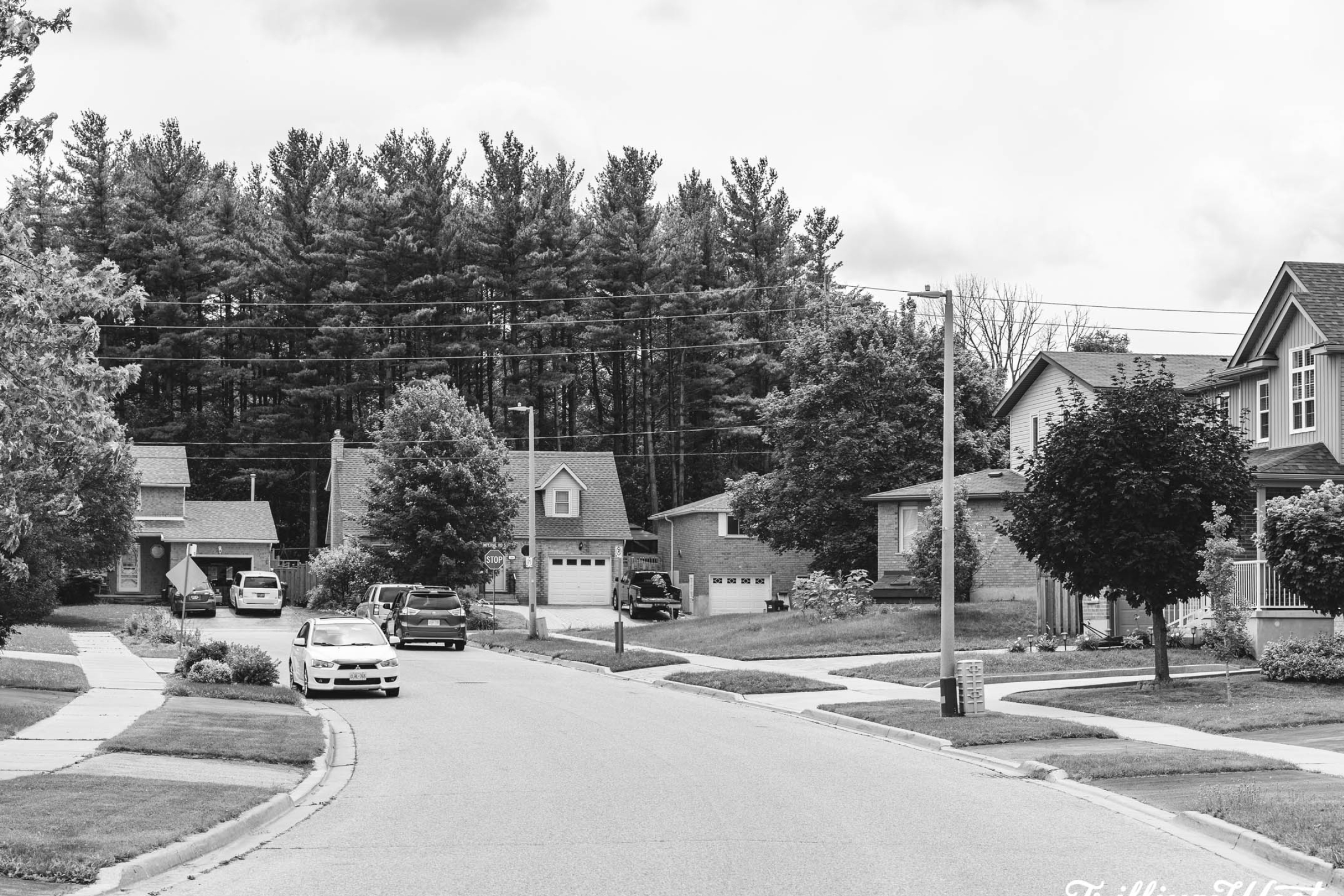 homes lining the streets with trees in the back in the Imperial South area of Guelph, Ontario