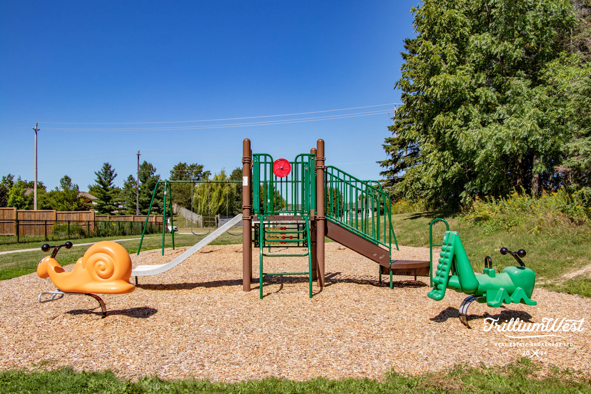 BeechwoodForestplaces 1 of 