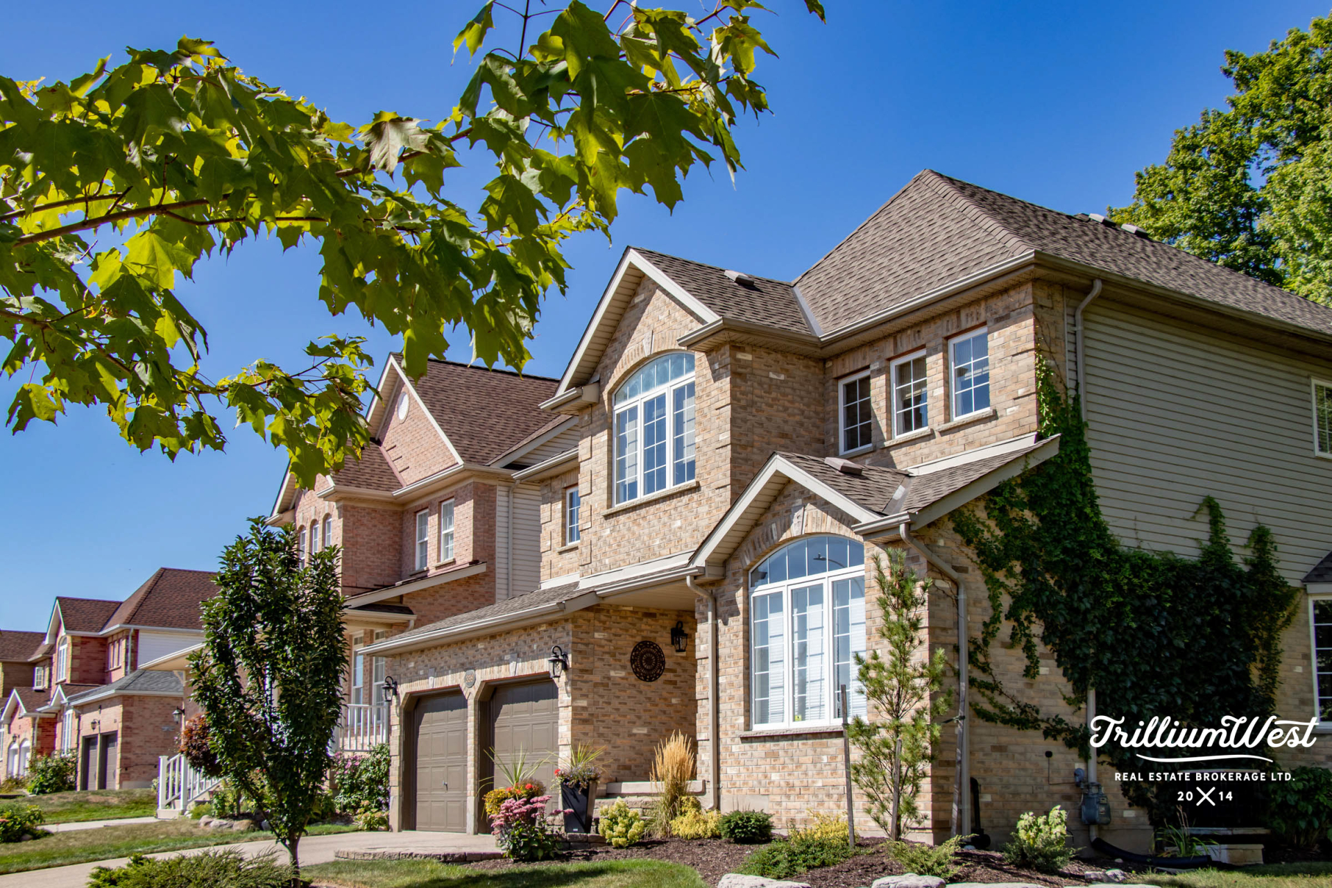 BeechwoodForestproperties 4 of 