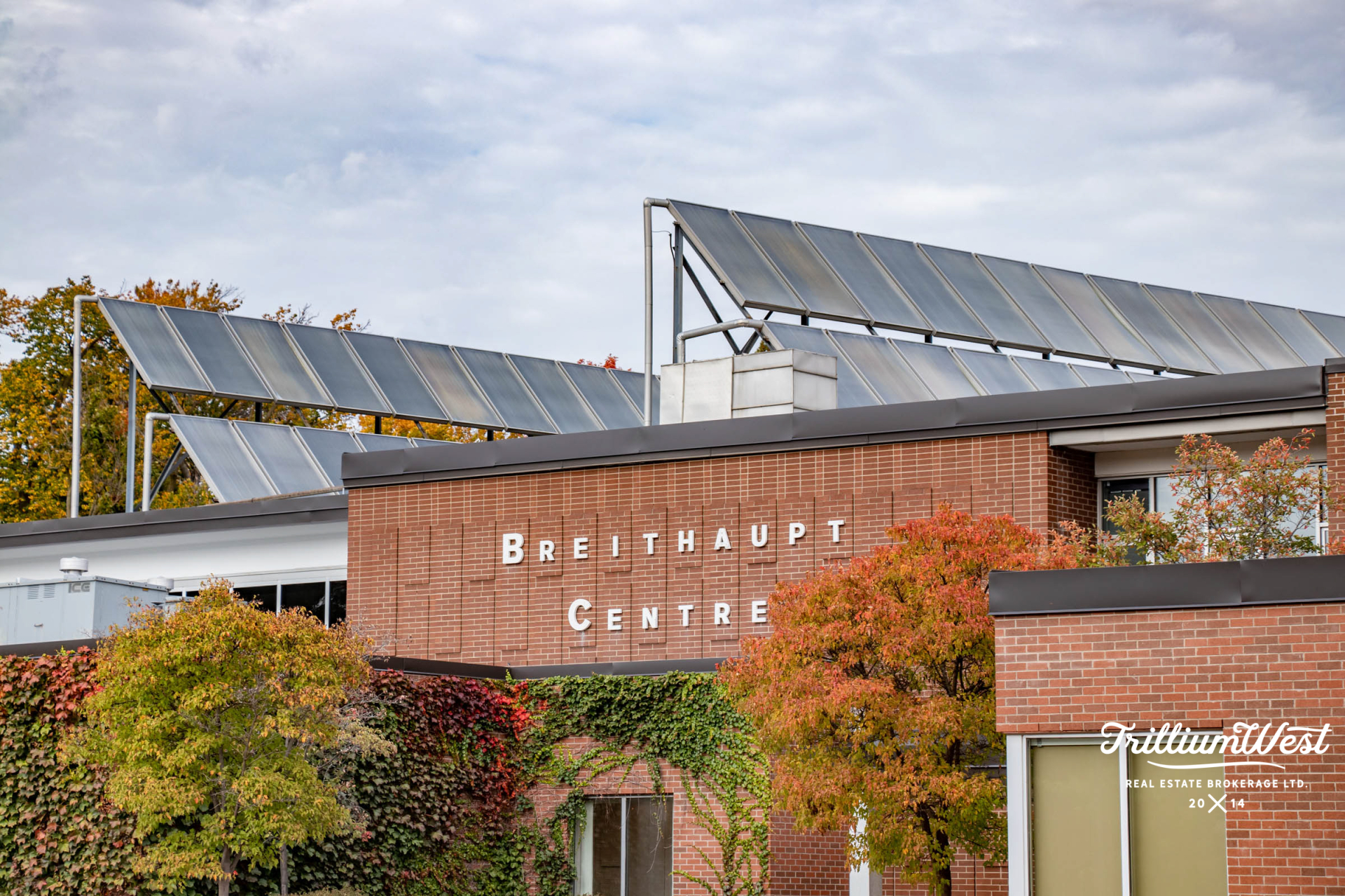 BreithauptParkgallery 