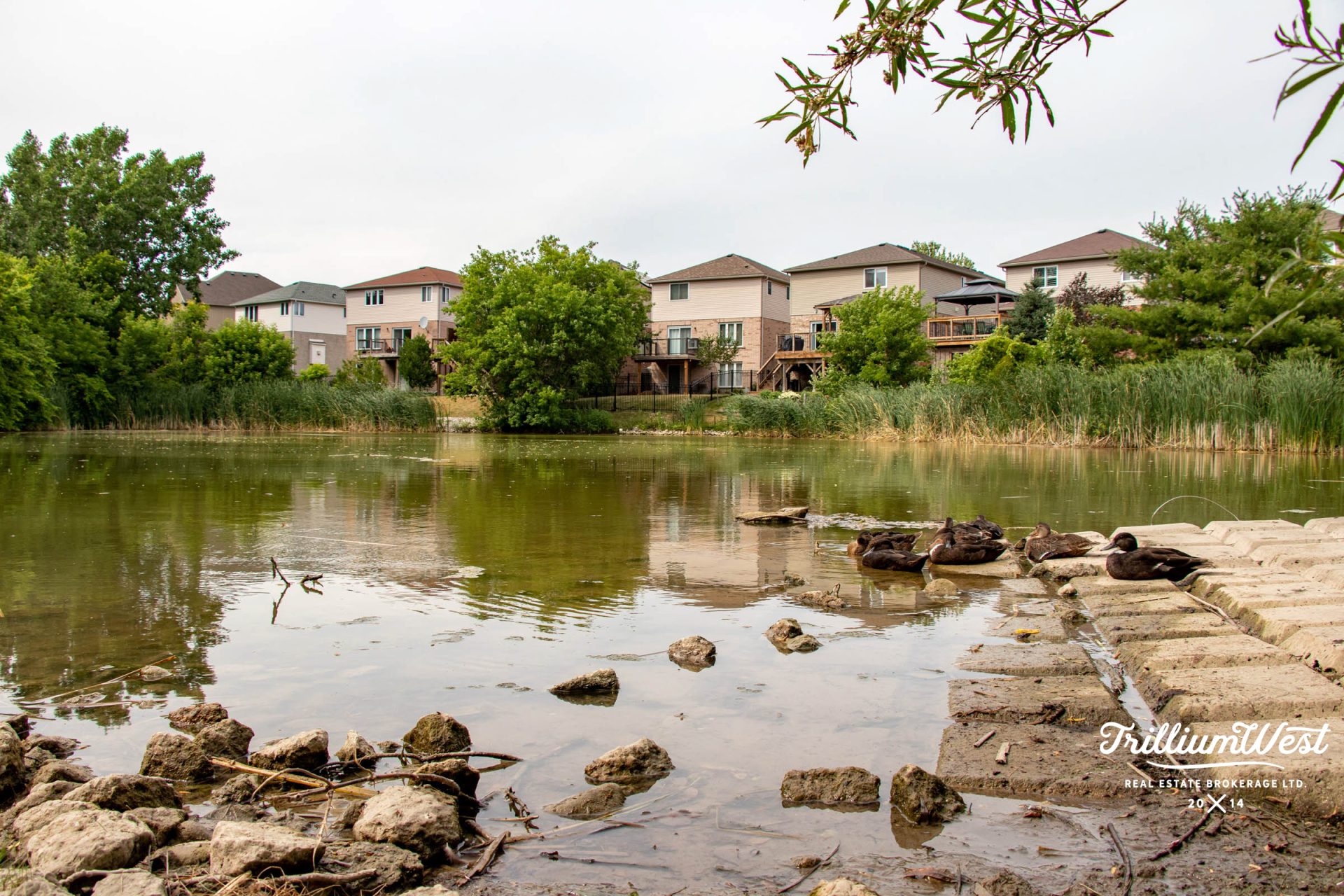 Glenridgeproperties 1 of 