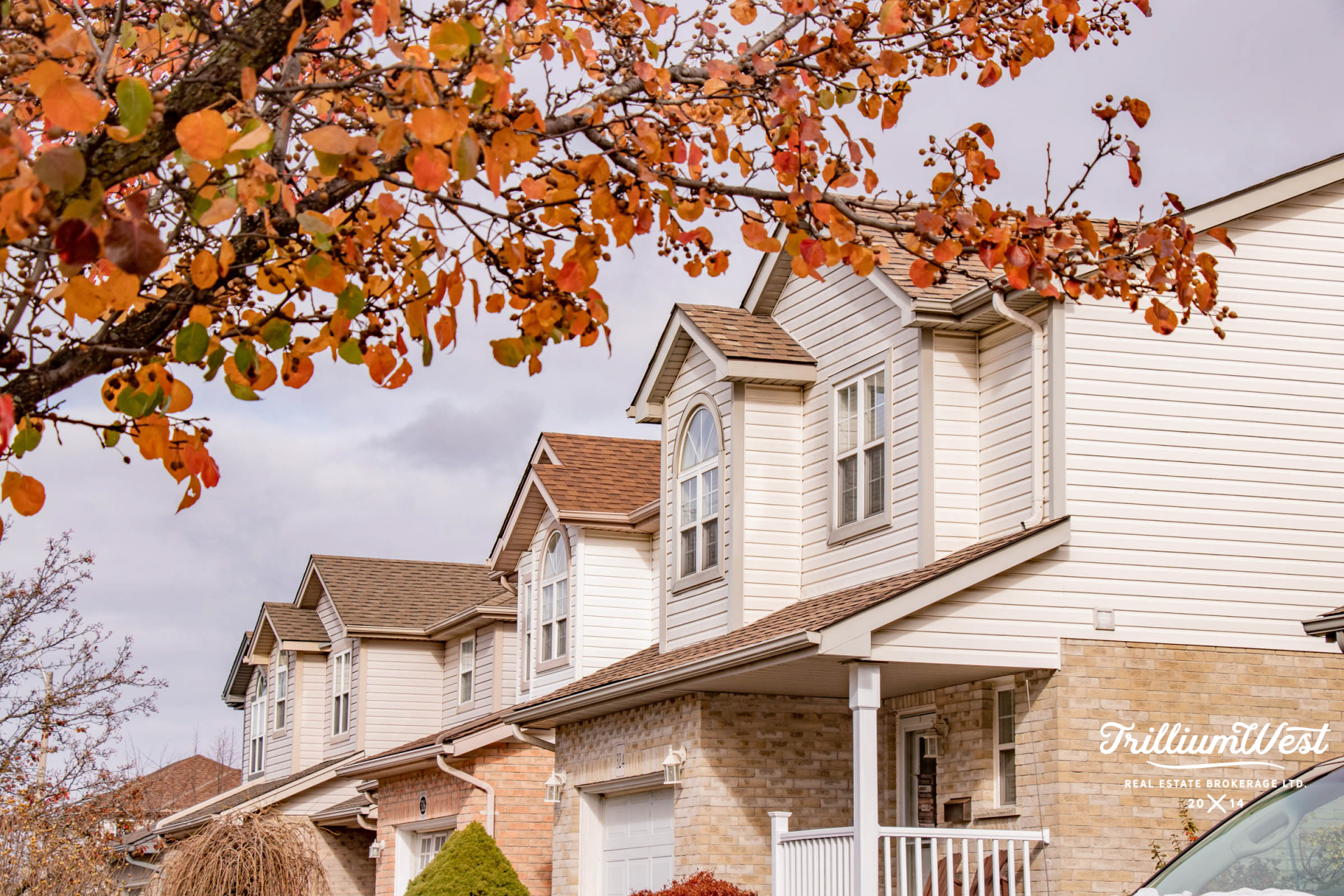 Lexingtonproperties 3 of 