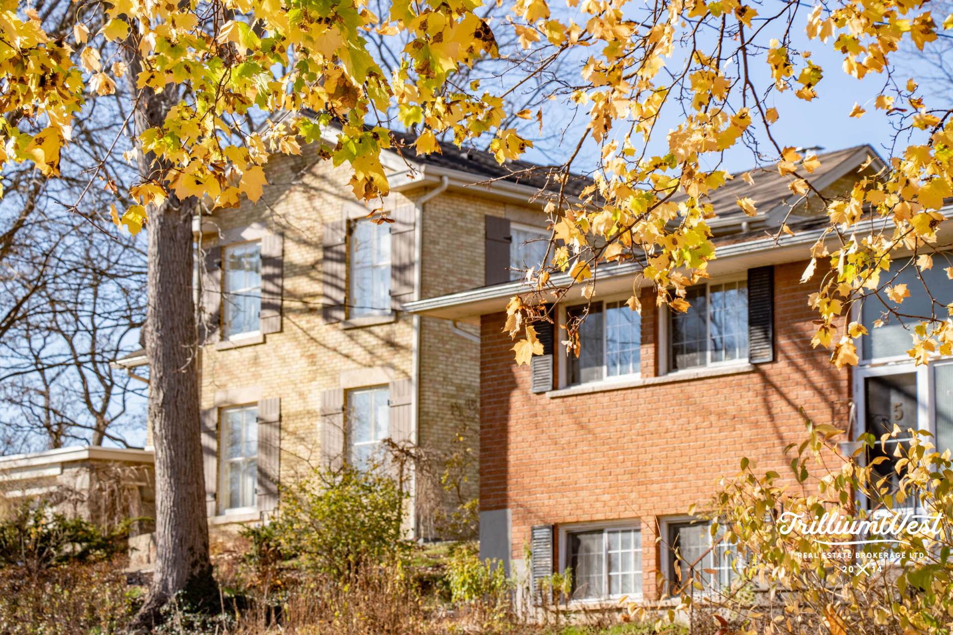 MunicipalParkproperties 