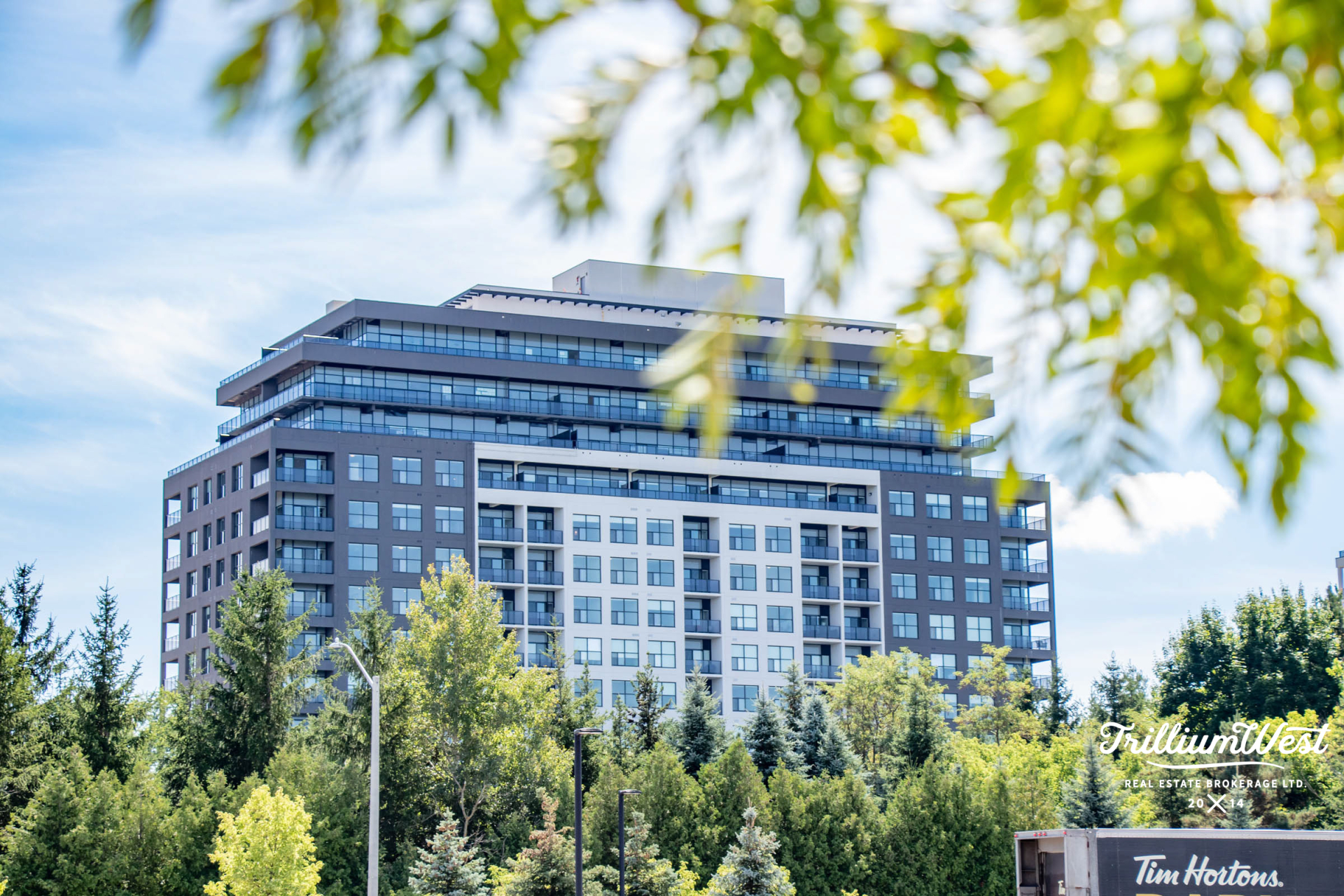 PergolaCommonsproperties 