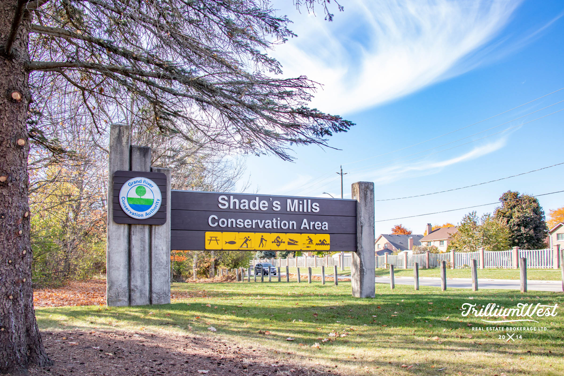 ShadesMillsplaces 2 of 