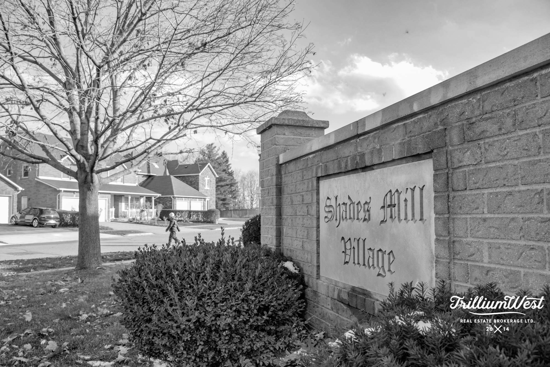 ShadesMillsplaces 4 of 