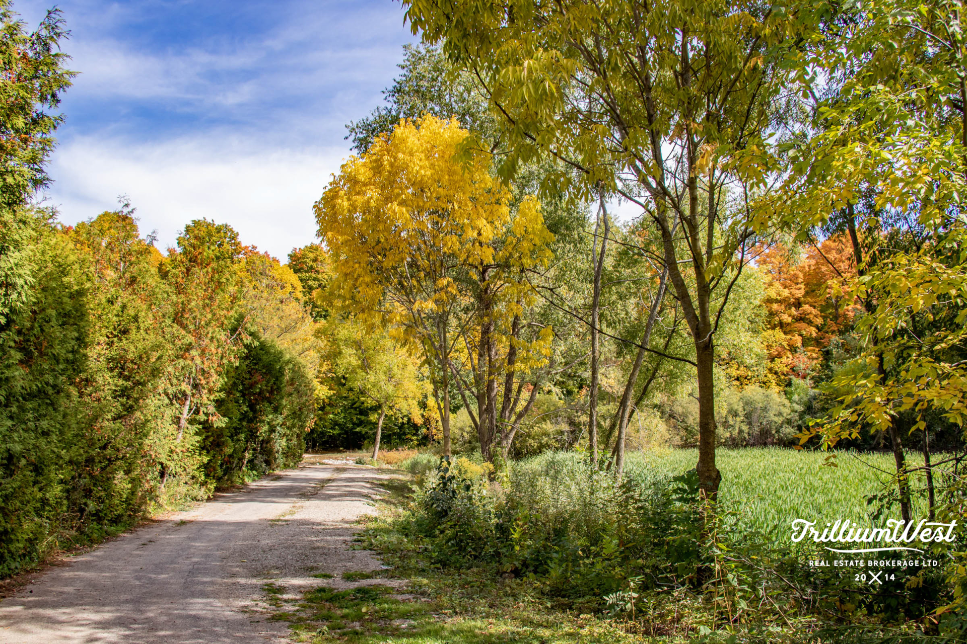 Williamsburgplaces 4 of 