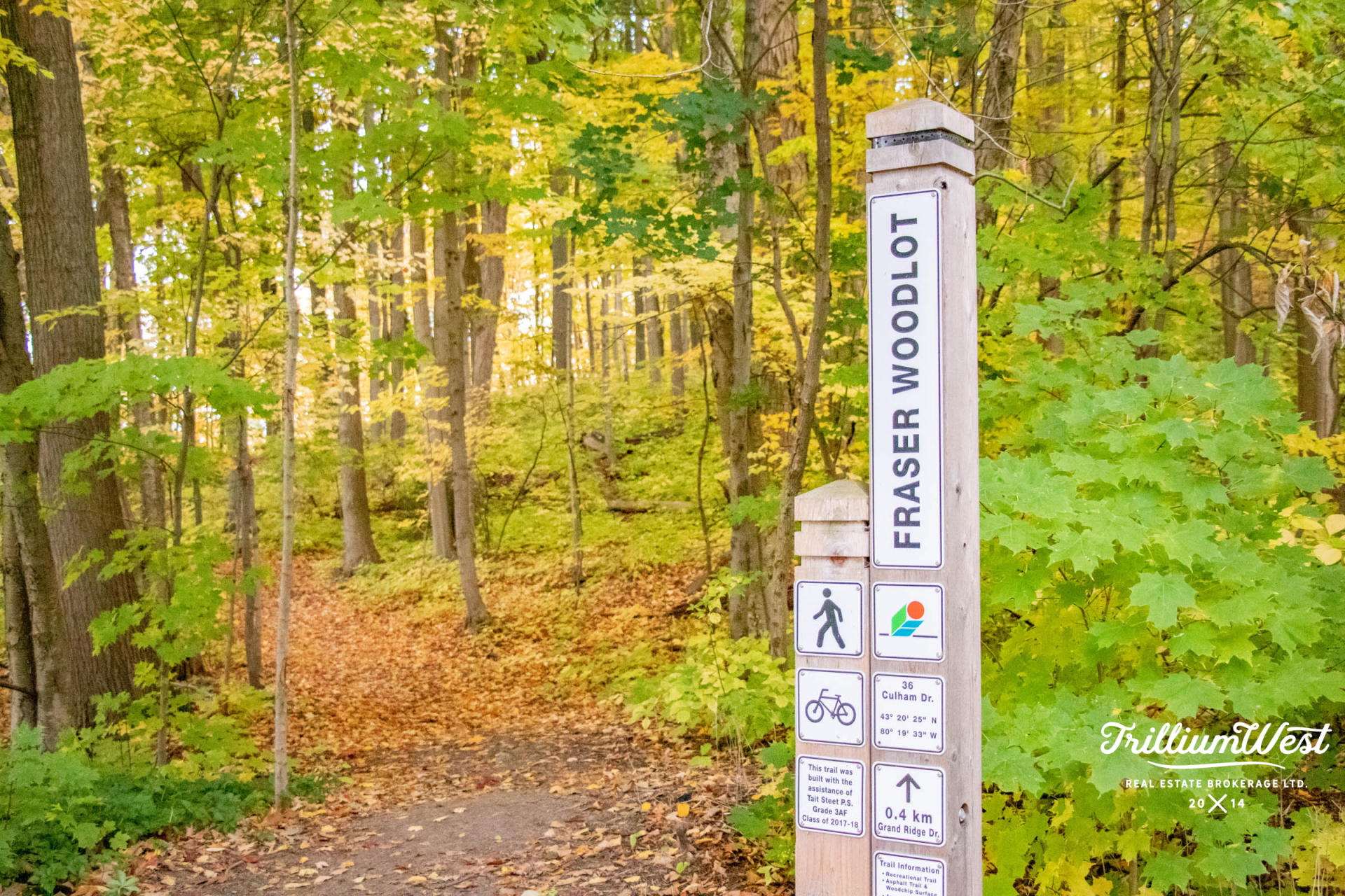 southwoodplaces 1 of 