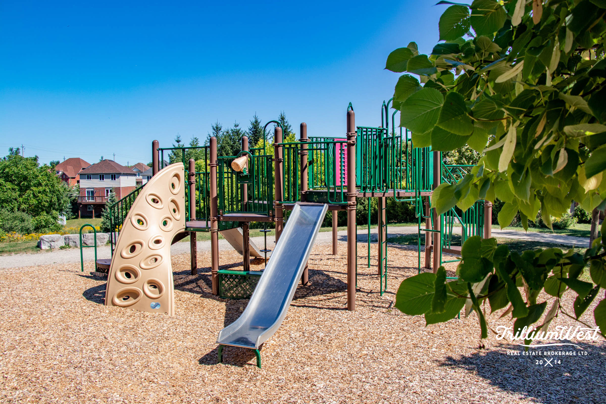 BeechwoodForestgallery 12 of 