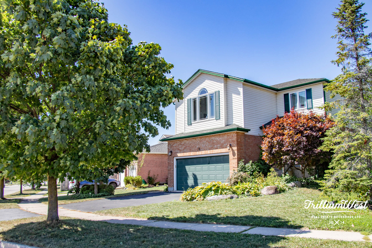 BeechwoodForestgallery 16 of 