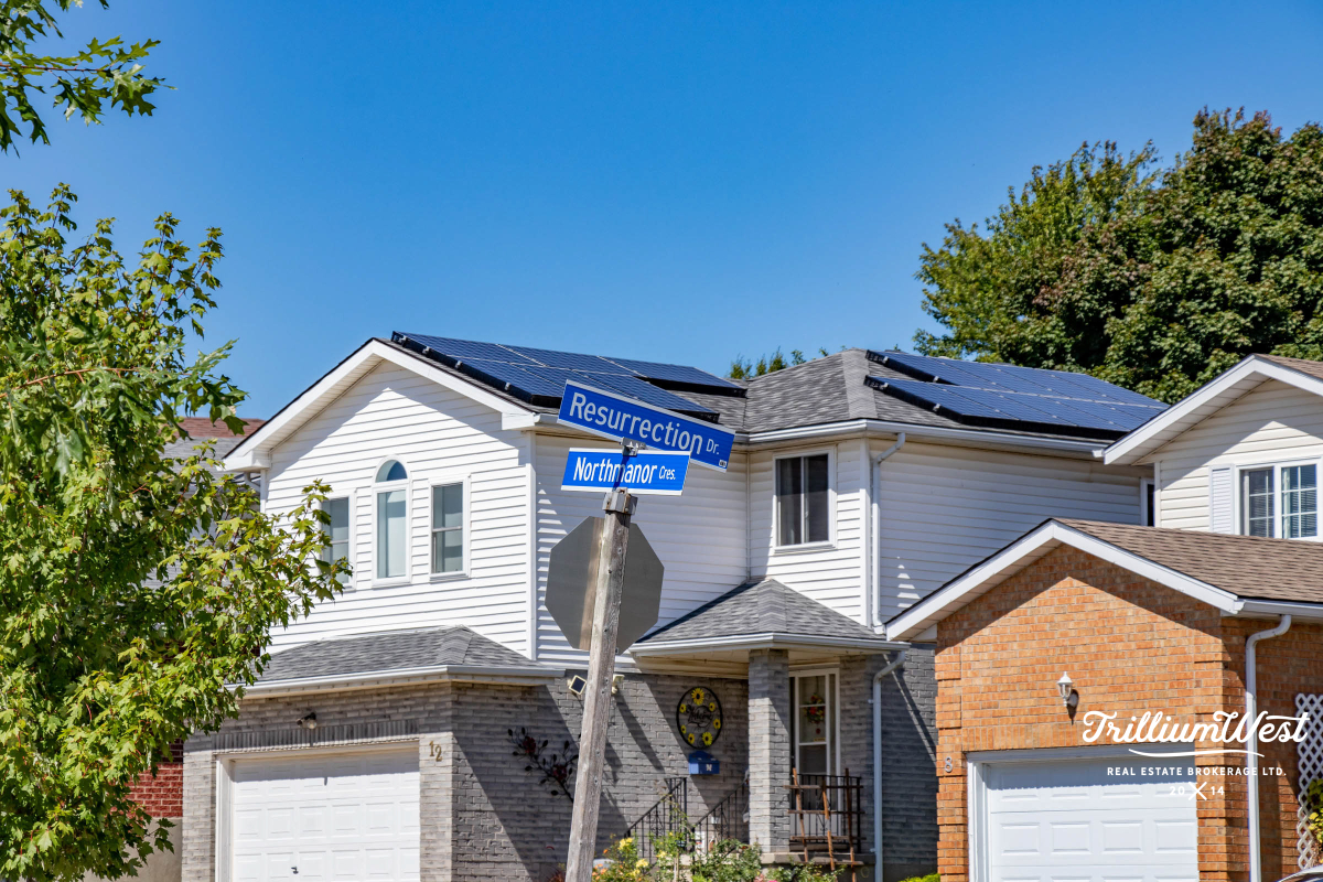 BeechwoodForestgallery 17 of 