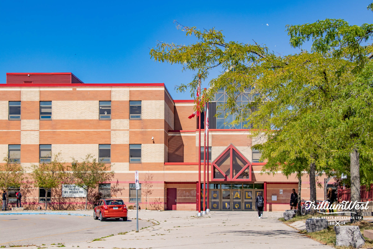 BeechwoodForestgallery 18 of 