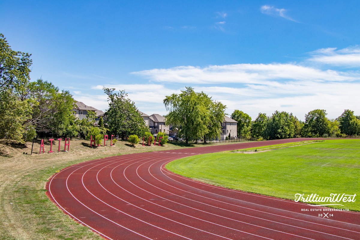 BeechwoodForestgallery 19 of 