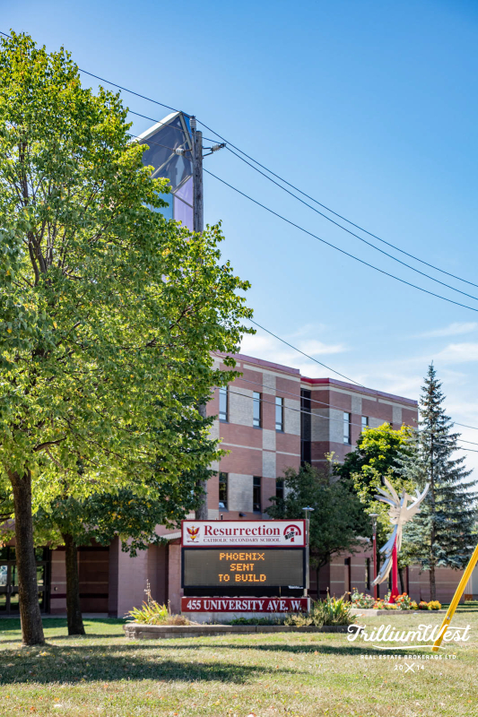 BeechwoodForestgallery 20 of 