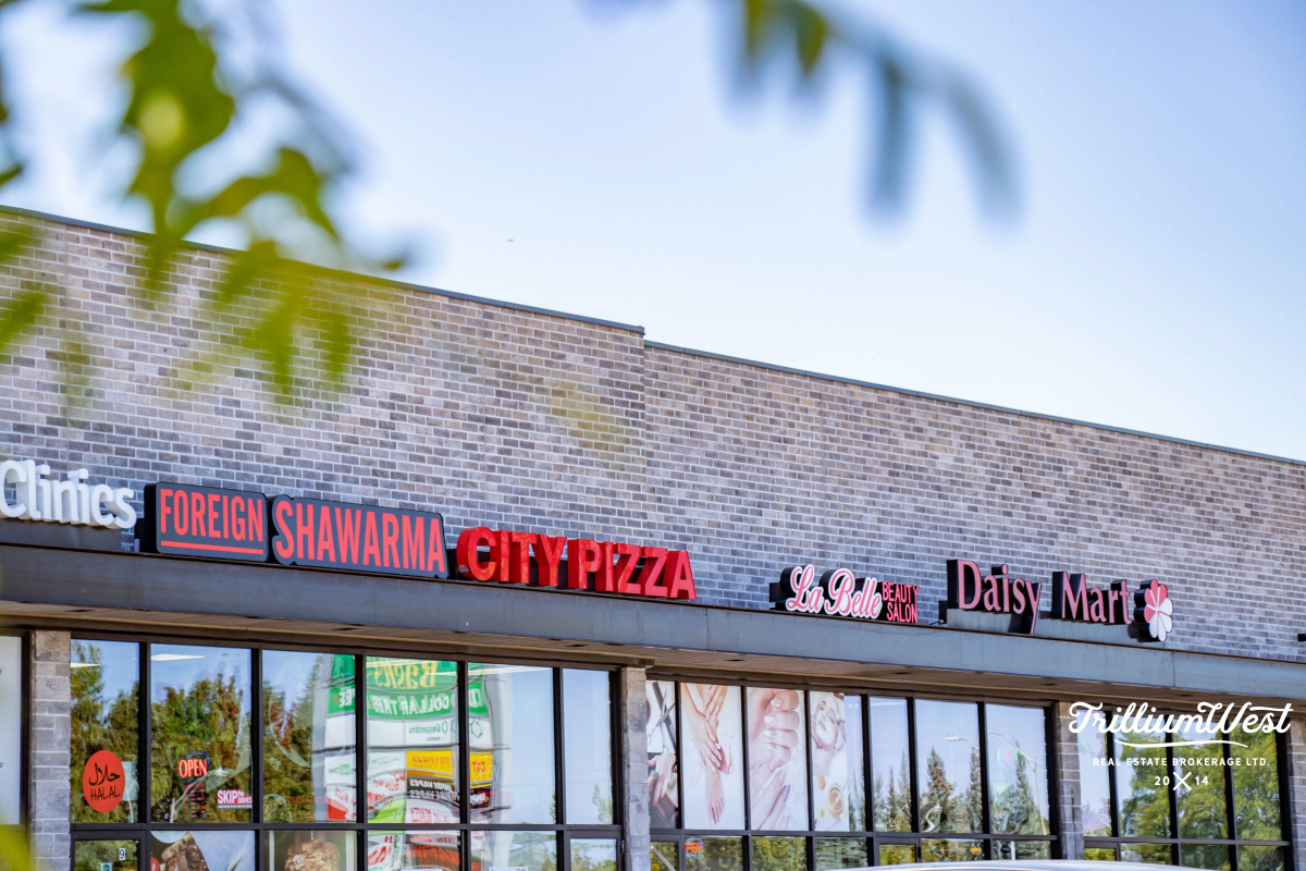 BeechwoodForestgallery 21 of 