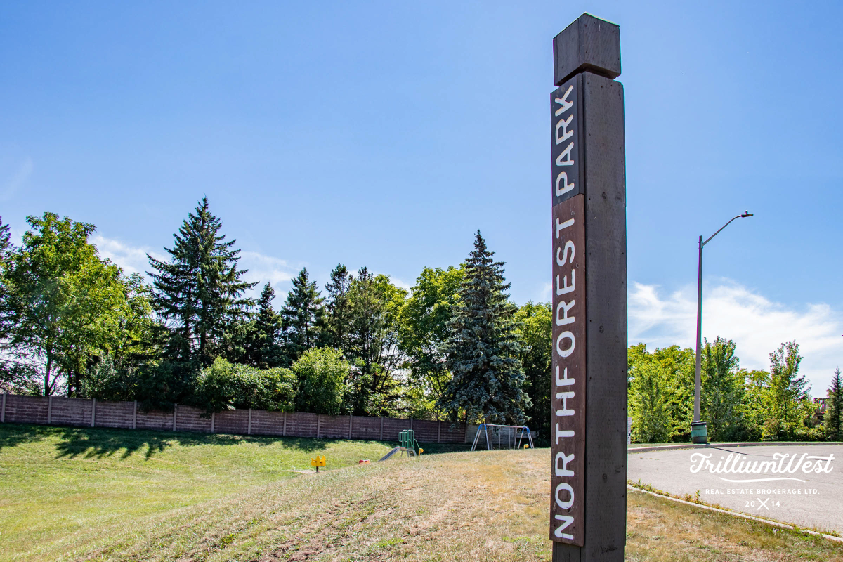 BeechwoodForestgallery 23 of 