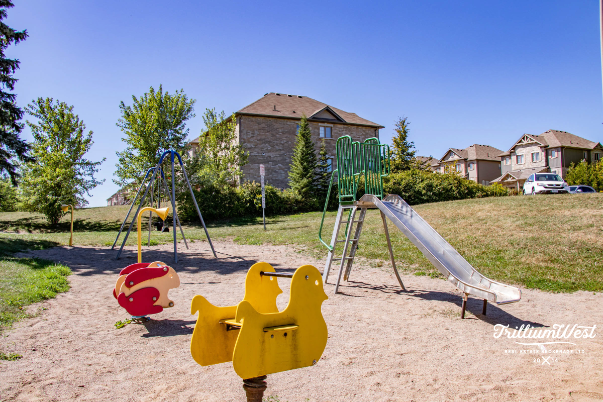 BeechwoodForestgallery 24 of 