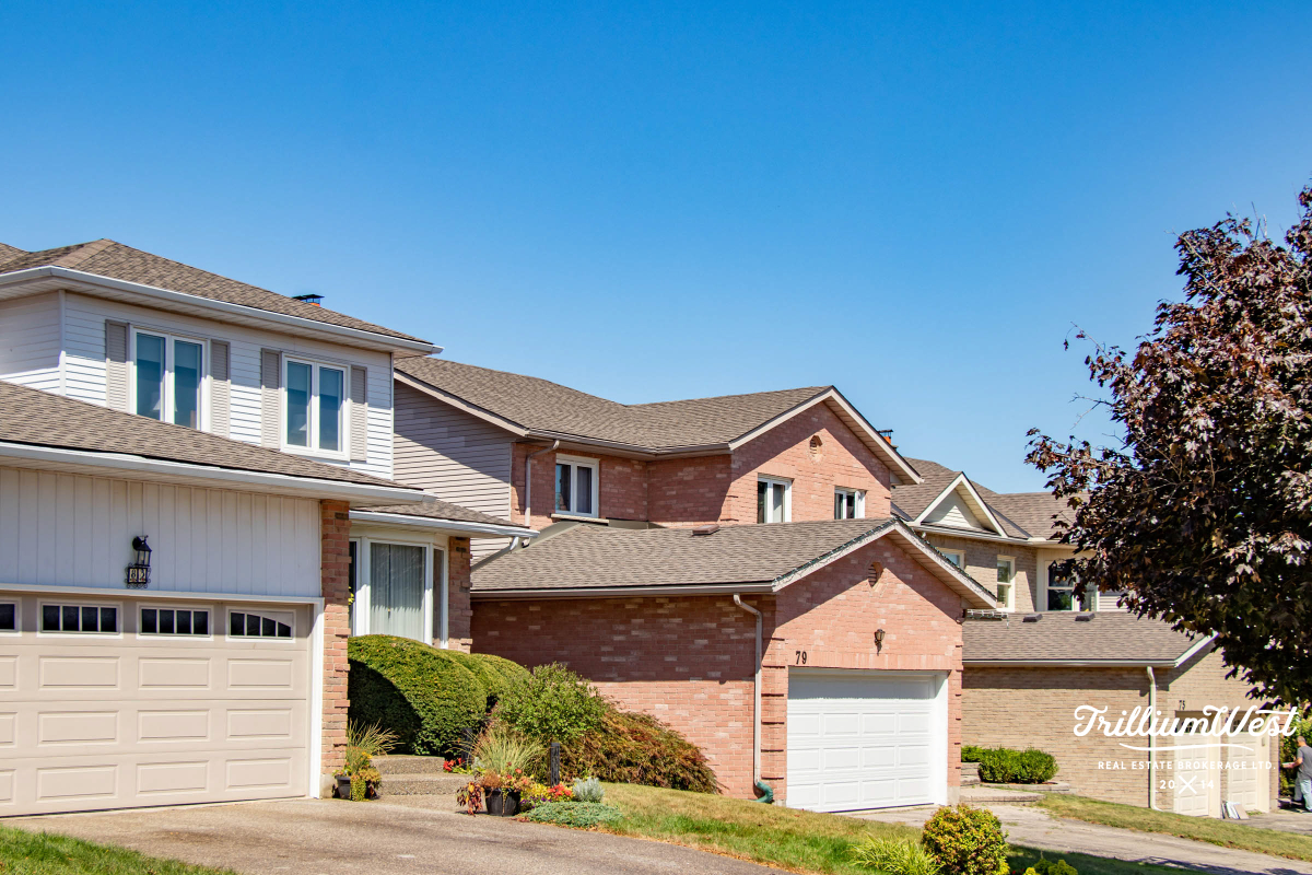 BeechwoodForestgallery 25 of 