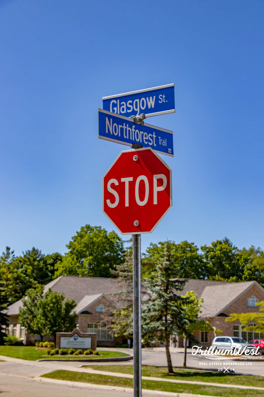 BeechwoodForestgallery 27 of 