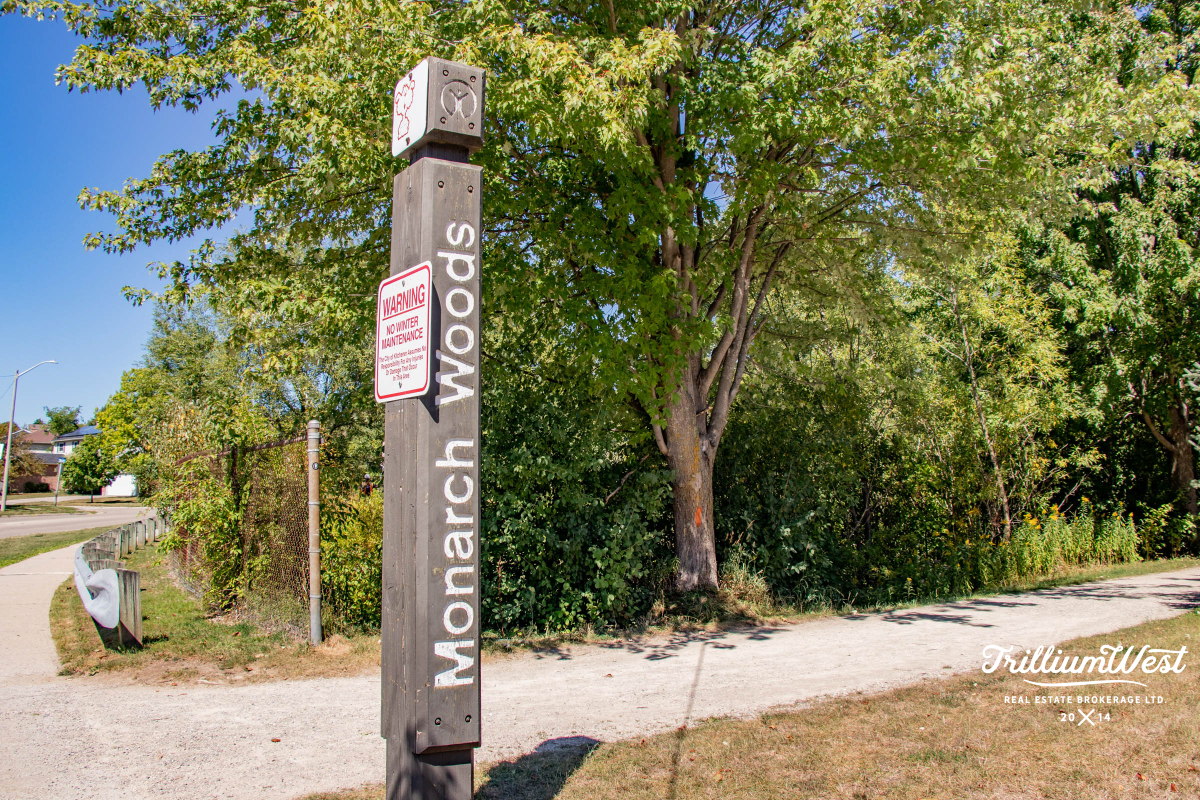 BeechwoodForestgallery 29 of 