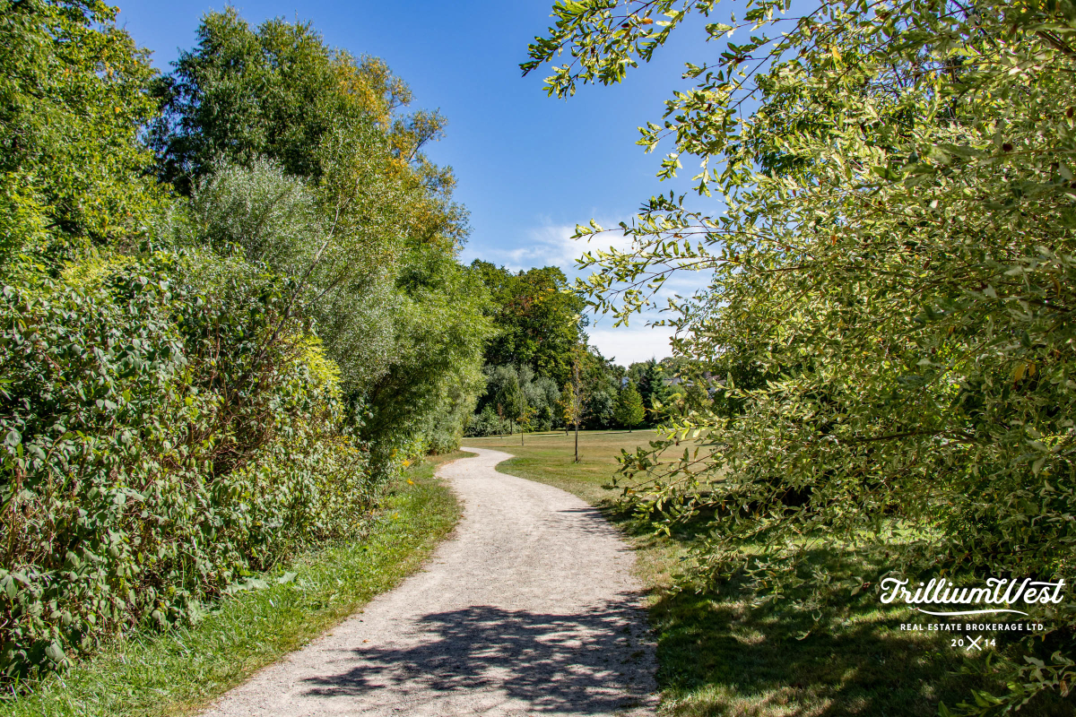 BeechwoodForestgallery 30 of 