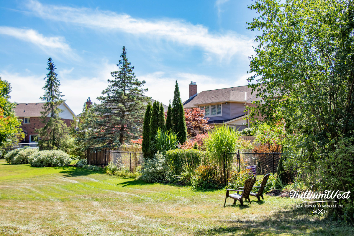 BeechwoodForestgallery 31 of 