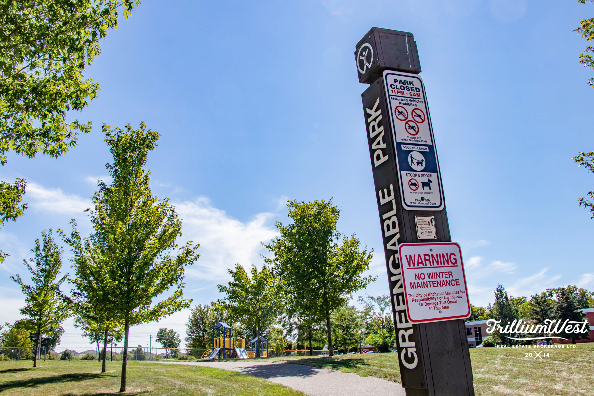 BeechwoodForestgallery 44 of 