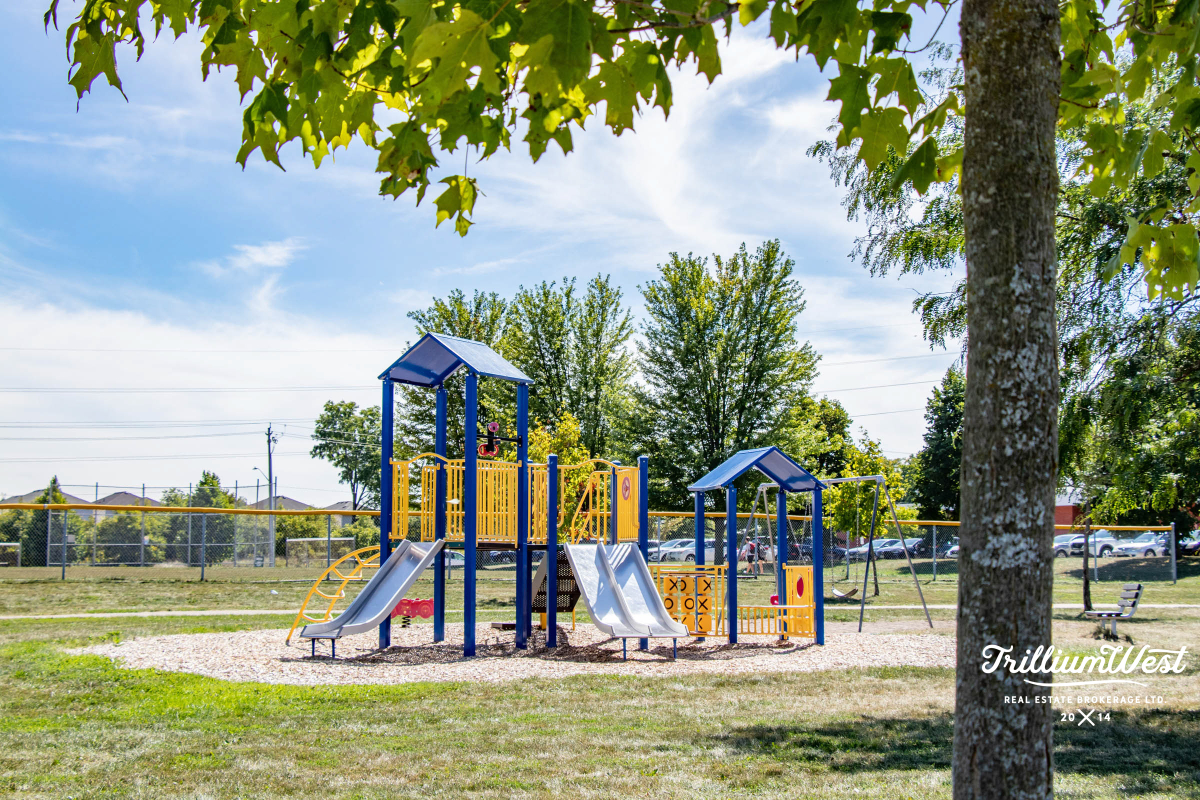 BeechwoodForestgallery 45 of 