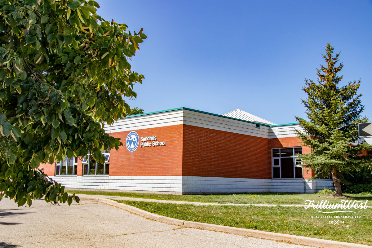 BeechwoodForestgallery 46 of 