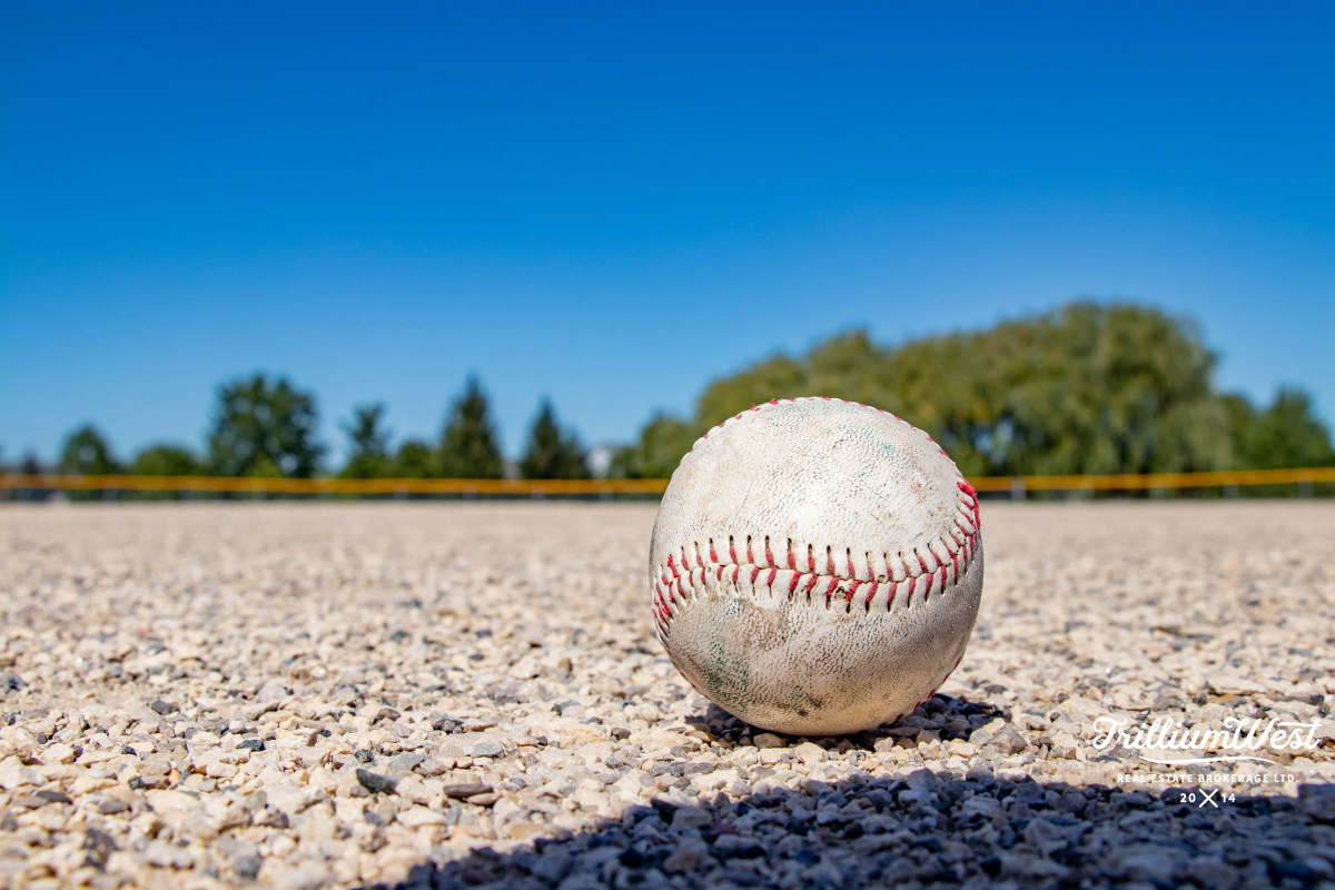 BeechwoodForestgallery 47 of 