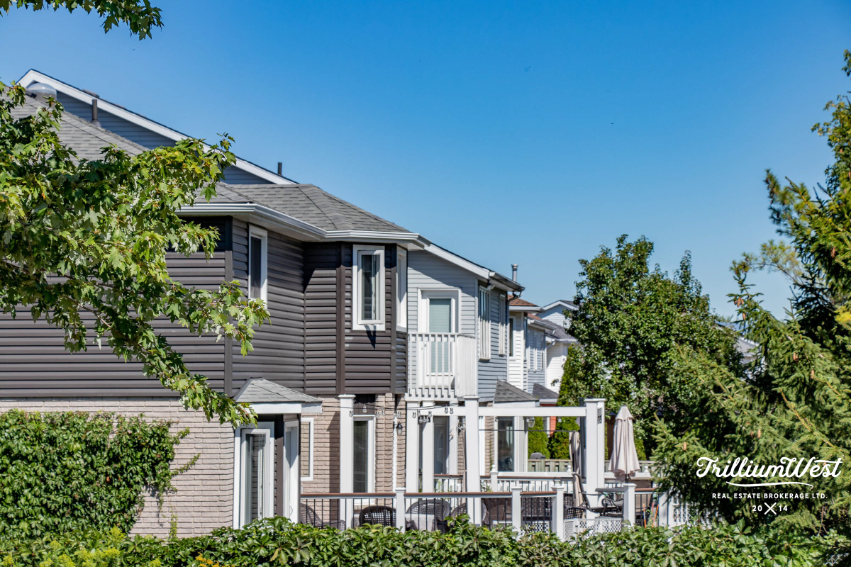 BeechwoodForestgallery 50 of 