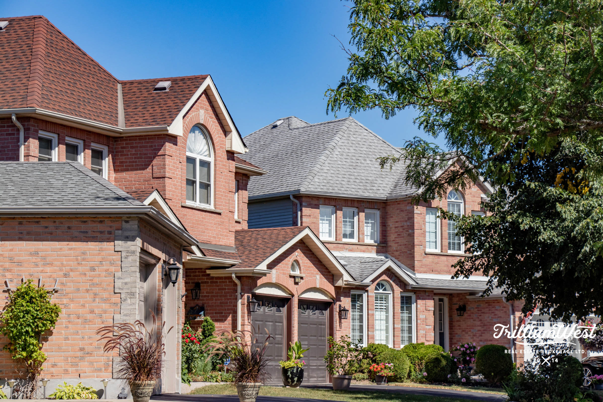 BeechwoodForestgallery 51 of 