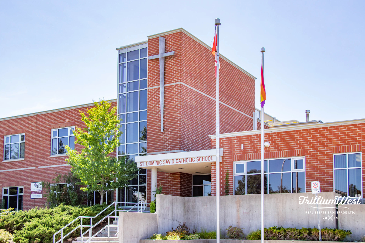 BeechwoodForestgallery 52 of 