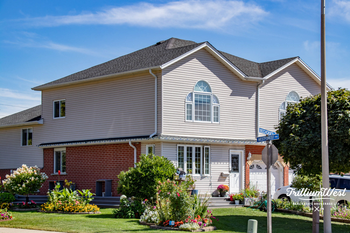 BeechwoodForestgallery 53 of 