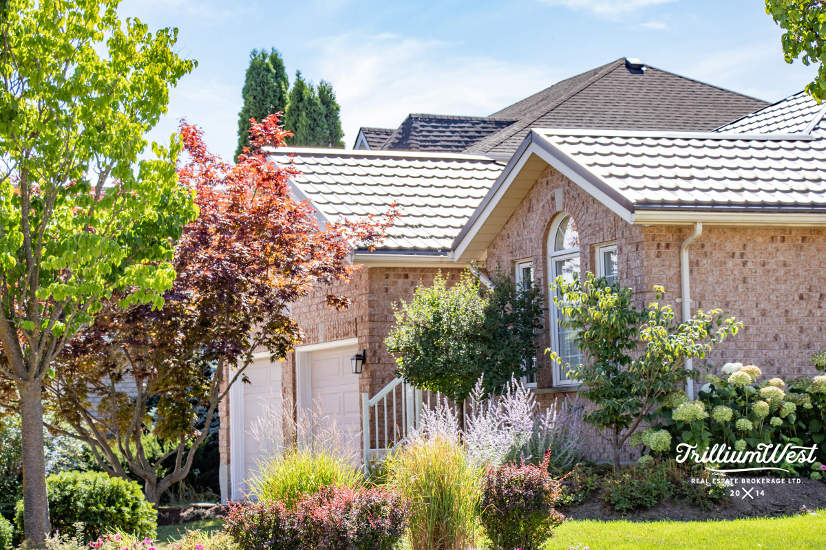 BeechwoodForestgallery 54 of 