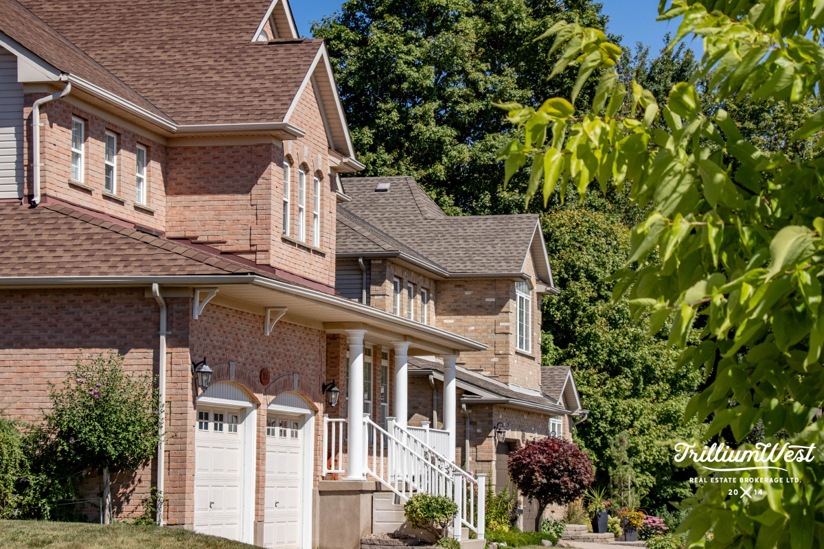 BeechwoodForestgallery 55 of 